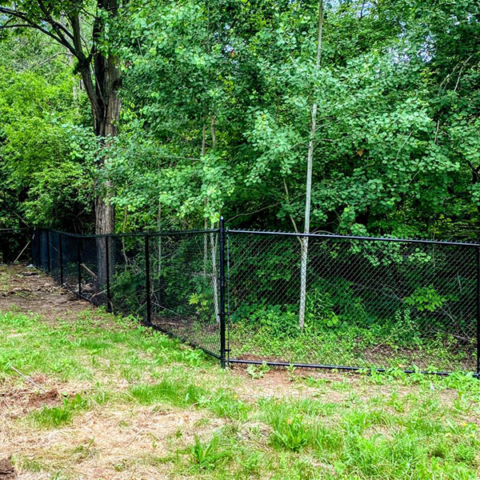Chain link fence