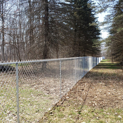 Chain Link Fence
